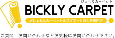 びっくりカーペット