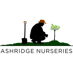 Ashridge Trees Discount Codes