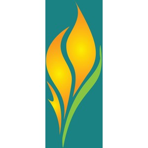 Flametree Yoga Studio