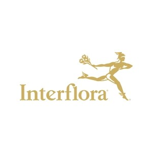 Interflora Discount Codes