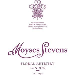 Moyses Stevens Discount Codes