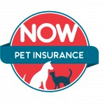 Nowpet.Co.Uk
