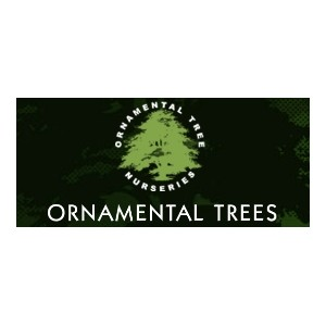 Ornamental Trees.Co.Uk